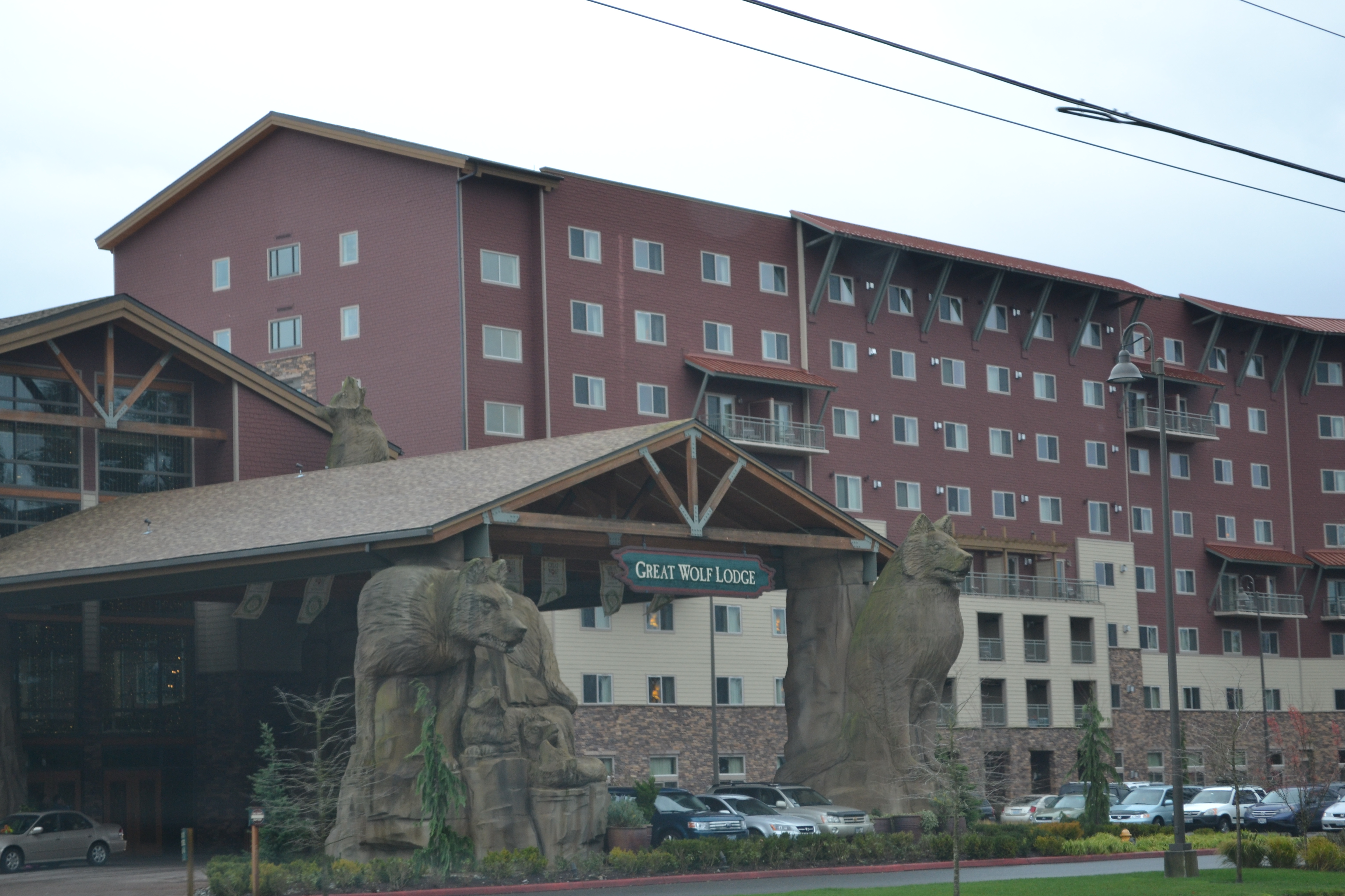 Advice For Planning A Visit To Great Wolf Lodge Dad Logic